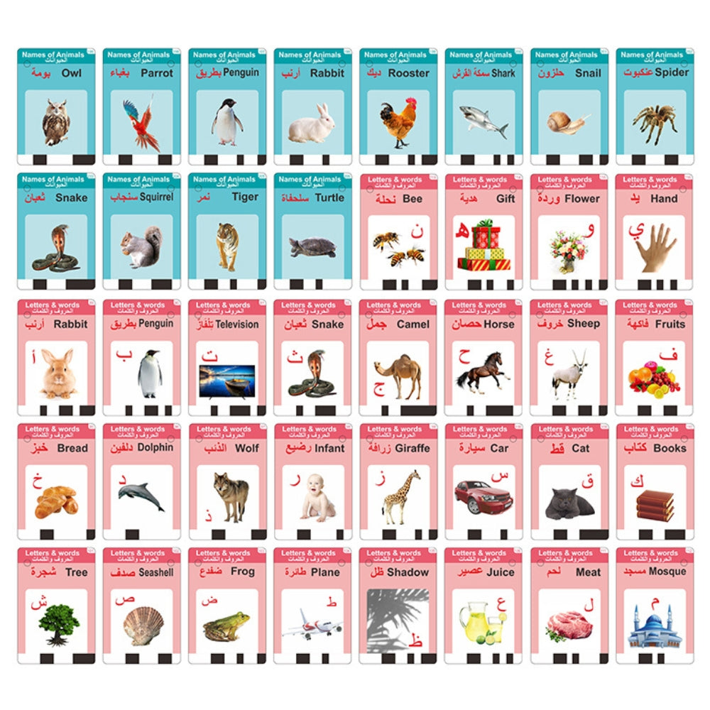 Learning Arabic Talking Flash Cards