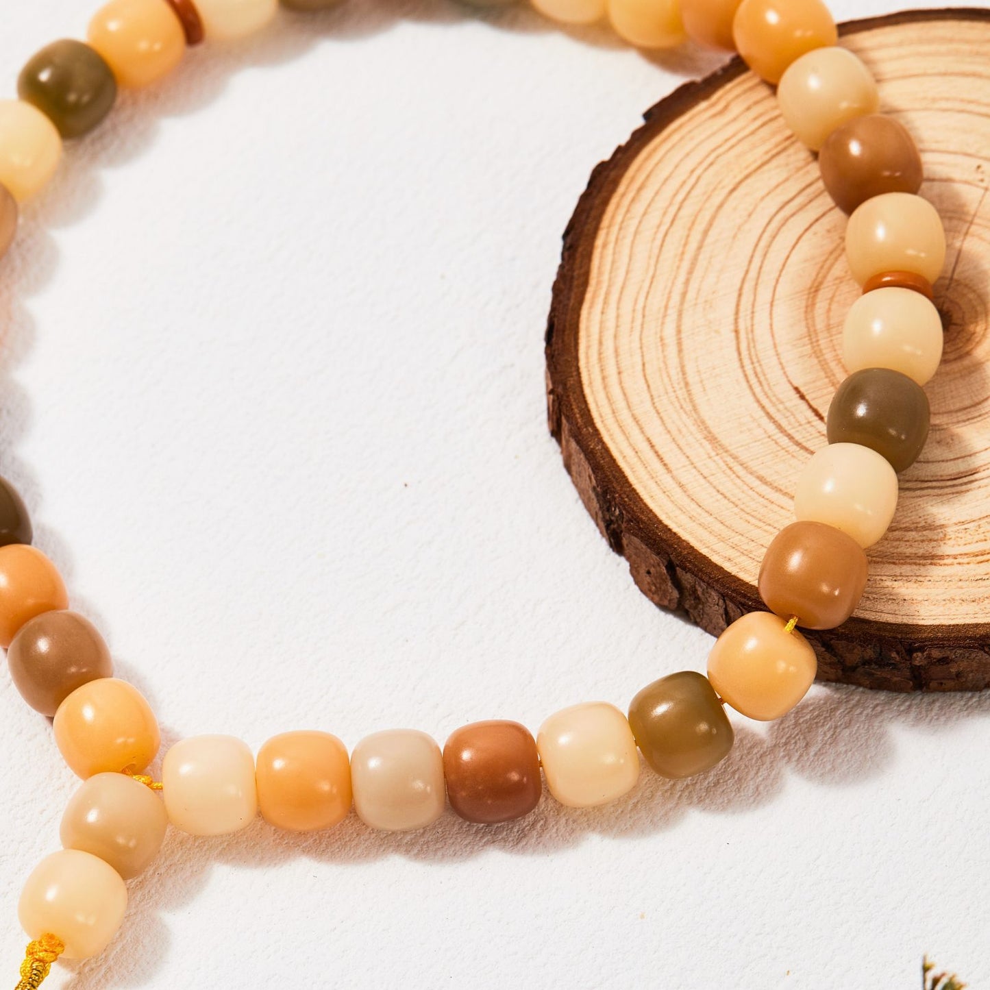 Natural Palm Plant Seeds – Tasbih Islamic Prayer Beads